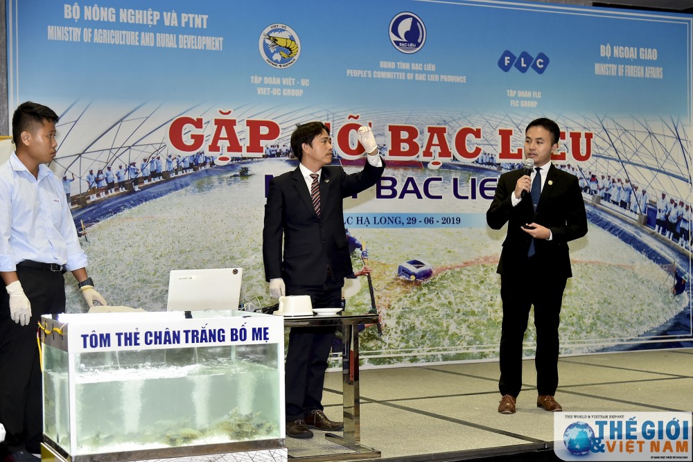 no luc xay dung bac lieu la cong xuong tom lon nhat ca nuoc