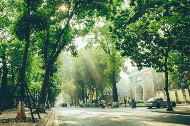 Dự báo thời tiết 10 ngày tới (21/6-1/7): Cả nước ngày nắng nóng gay gắt, tối mưa to và dông