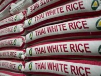 can trong xuat khau gao viet sang my