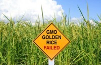 nguoi bien doi gene se som xuat hien