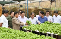 tin nhap 20170907144932