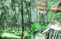 tin nhap 20180320101515