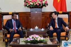 Phó Thủ tướng Phạm Bình Minh: Việt Nam sẵn sàng hỗ trợ, trao đổi thông tin phòng, chống Covid-19 với Angola