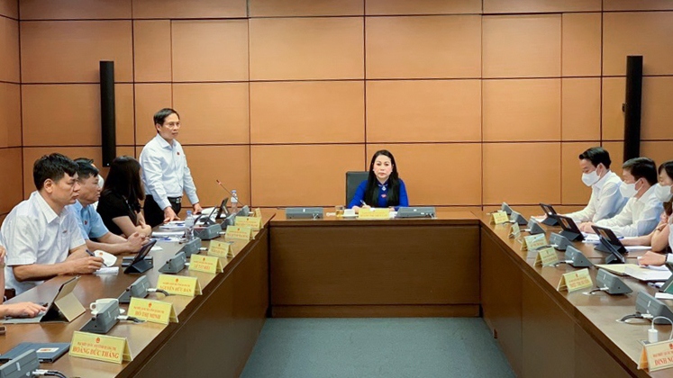 Đại biểu Quốc hội Bùi Thanh Sơn: Hai vấn đề đối ngoại cần làm trong 6 tháng cuối năm