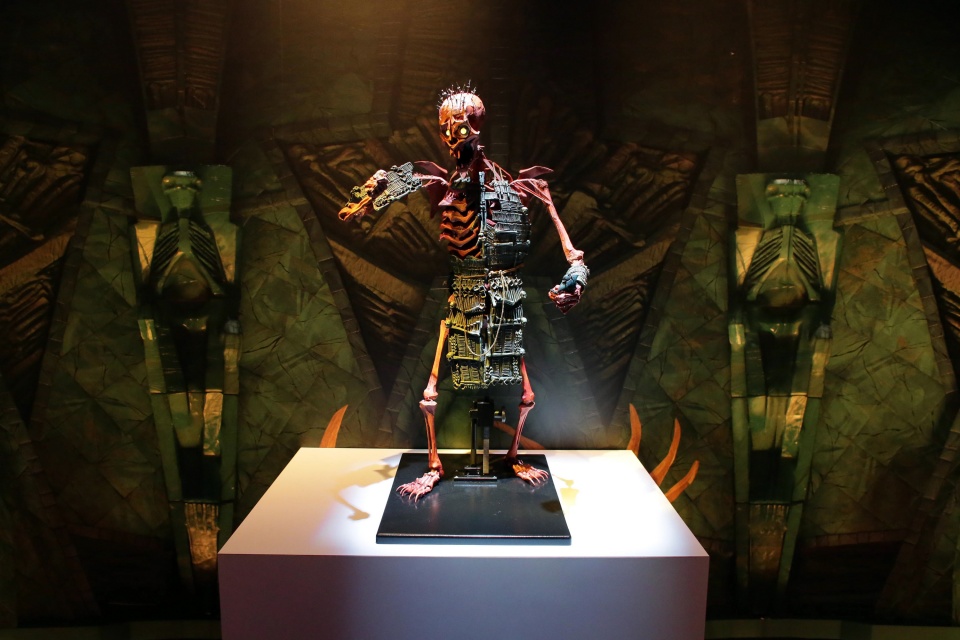 quay phim hoat hinh voi chu roi khong lo cao 5m