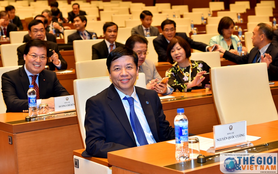 mot so hinh anh ben le chu tich quoc hoi tiep doan cac dai su viet nam o nuoc ngoai