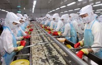 xuat khau cua viet nam sang algeria tang 26