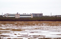 chuyen gia chuong trinh nguyen tu cua uae co the dan den mot cuoc chay dua hat nhan