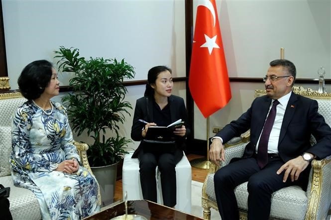 Trưởng Ban Dân vận Trung ương Trương Thị Mai làm việc tại Thổ Nhĩ Kỳ