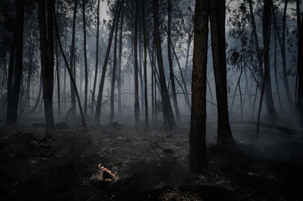 anh an tuong tuan 277 28 chu tich trieu tien tang sung cho si quan deo khau trang di hop dem va chay dua tim vaccine covid 19