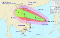 nhung thiet hai theo ghi nhan khi con bao di qua mien trung