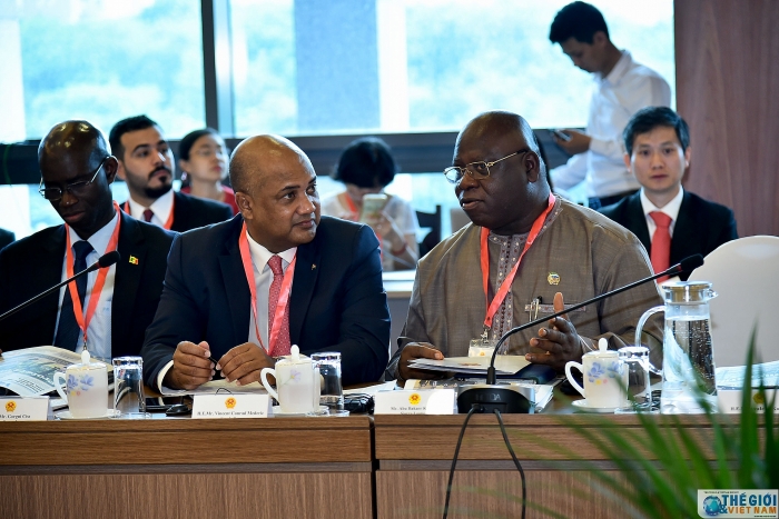 truc tuyen khai mac hoi nghi gap mat dai su cac nuoc trung dong chau phi nam 2019