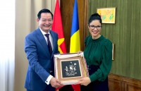 dac phai vien cua thu tuong chinh phu tham romania