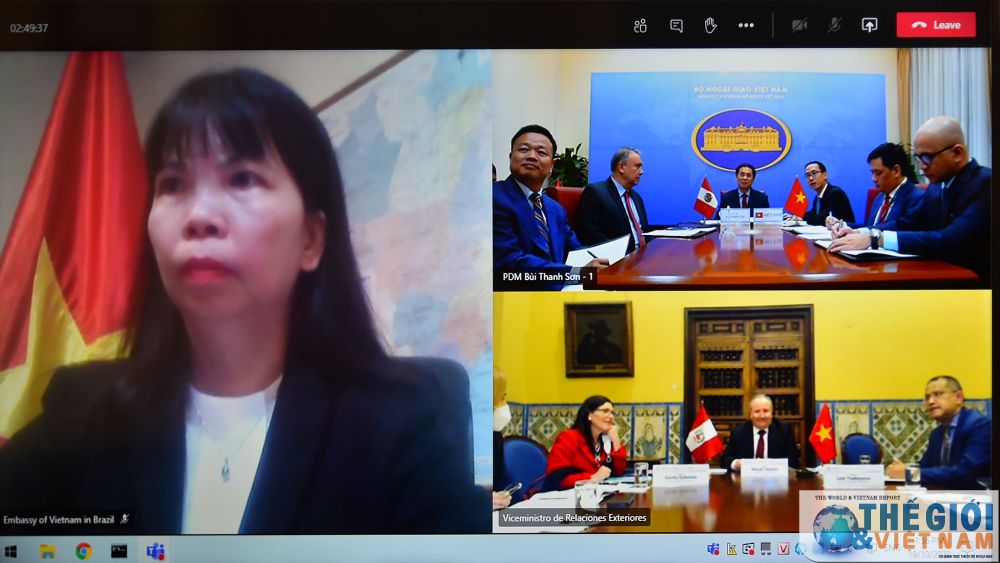 Thứ trưởng Ngoại giao Việt Nam-Peru tham khảo chính trị, thúc đẩy hợp tác sau Covid-19