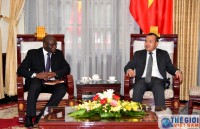 thue cay thong giang sinh xu huong moi cua nguoi sec