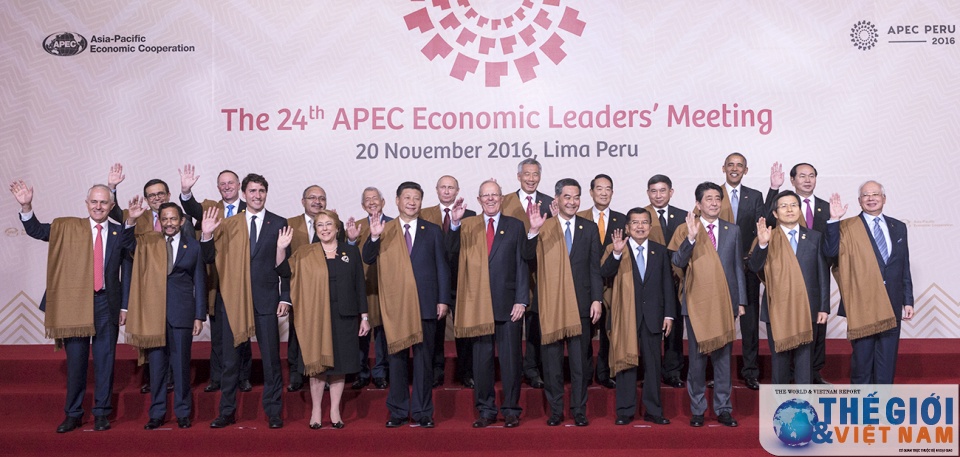 viet nam du tuan le cap cao apec peru voi mot vi the dac biet