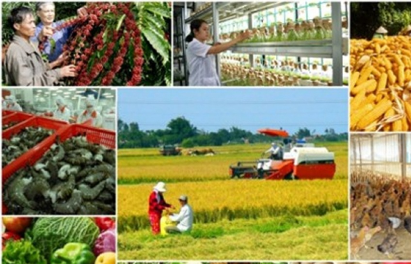 phe duyet ke hoach co cau lai nganh nong nghiep