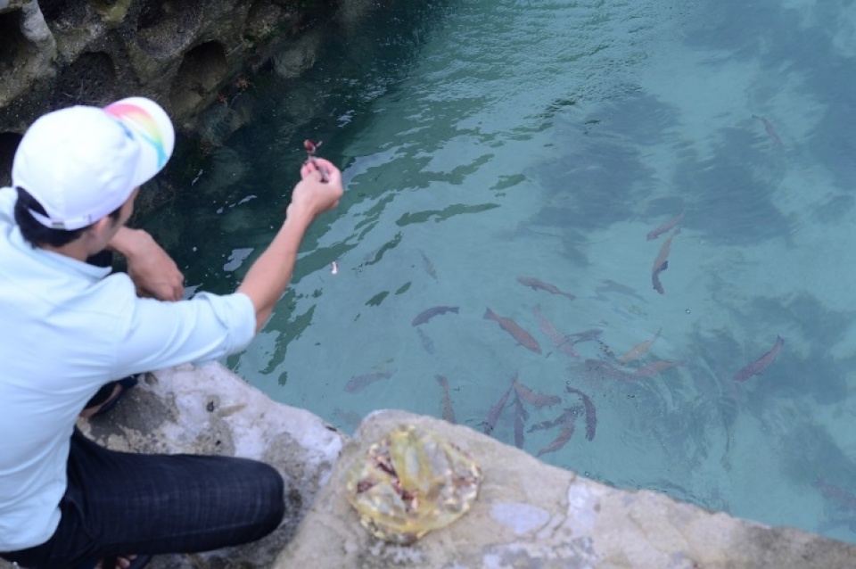 8x nuoi ca mu tom hum lam du lich tren dao phu quy nho internet