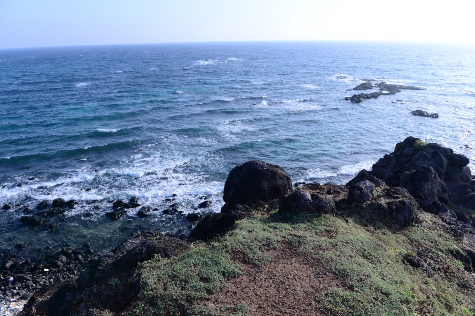 8x nuoi ca mu tom hum lam du lich tren dao phu quy nho internet