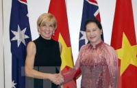 chu tich quoc hoi du ky hop thu 7 hoi dong nhan dan thanh pho can tho