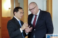 Đức đánh giá cao sự hợp tác hiệu quả với Việt Nam