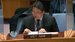Việt Nam kêu gọi thúc đẩy tiến trình chính trị hướng tới bầu cử ở Libya
