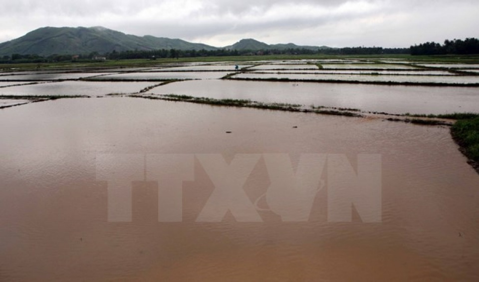lu chong lu tai binh dinh da khien 7 nguoi thuong vong