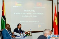 Mozambique kêu gọi doanh nghiệp Việt hợp tác sản xuất điều