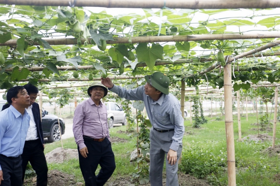 Nông nghiệp công nghệ cao hấp dẫn nhiều nhà đầu tư Việt nong nghiep cong nghe cao hap dan nhieu nha dau tu viet