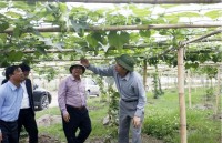 mua hang khong tra tien tuong lai cua the tin dung vo hinh