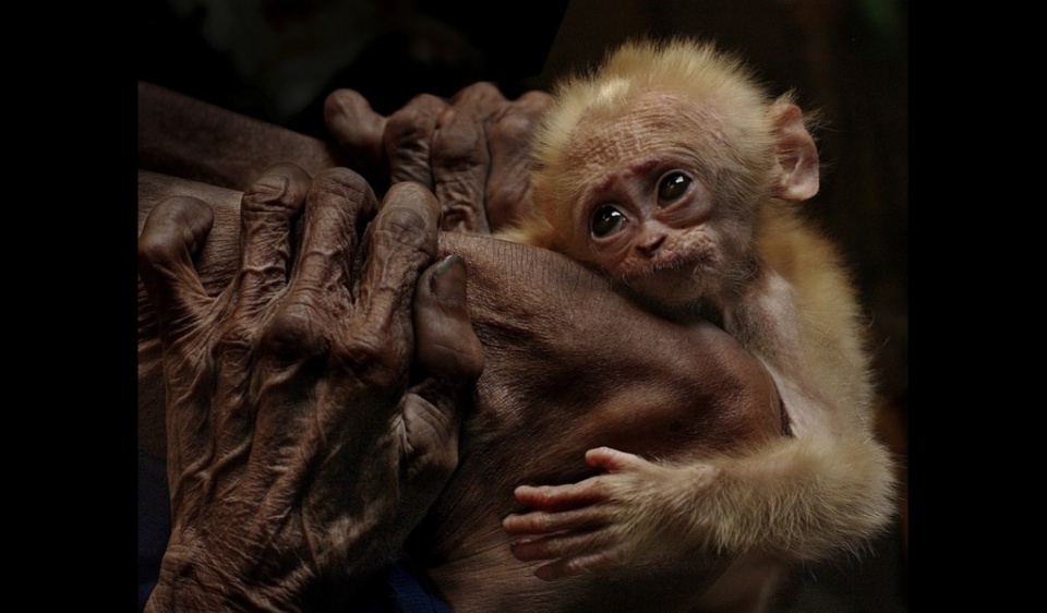 Việt Nam nhận giải thưởng nhiếp ảnh quốc tế tại Thổ Nhĩ Kỳ viet nam dat giai thuong nhiep anh quoc te tai tho nhi ky