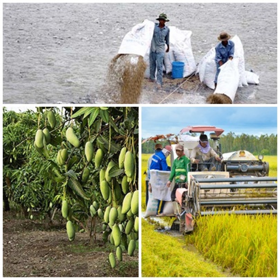 tin nhap 20171215165836