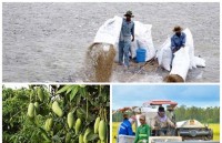 tin nhap 20171219224714