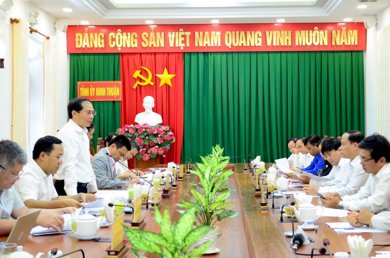 thu truong thuong truc bui thanh son tham lam viec tai dong nai binh thuan va ninh thuan