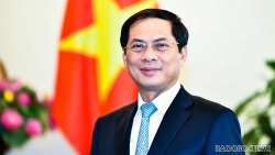 Công tác hỗ trợ đối ngoại địa phương trong quá trình hội nhập quốc tế sâu rộng của đất nước: kết quả triển khai năm 2020 và định hướng năm 2021