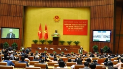 Ngoại giao Việt Nam một lòng vì lợi ích quốc gia - dân tộc
