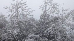 Dự báo thời tiết đêm nay và ngày mai (3-4/1): Bắc Bộ rét đậm, rét hại; Nam Bộ có mưa rào; Hà Nội rét 10-13 độ