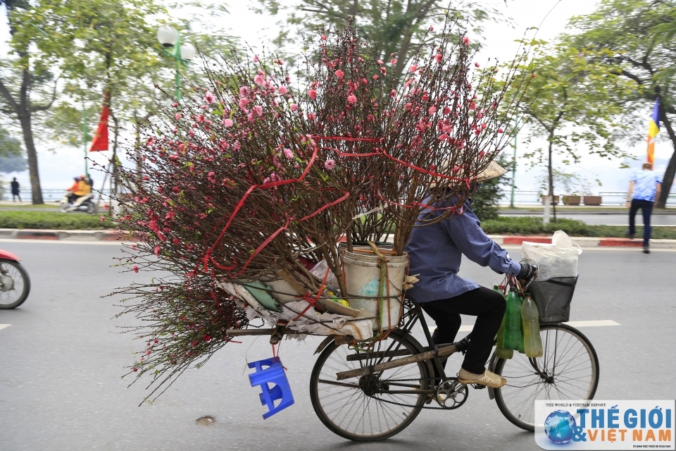 chung ta nen an tet the nao