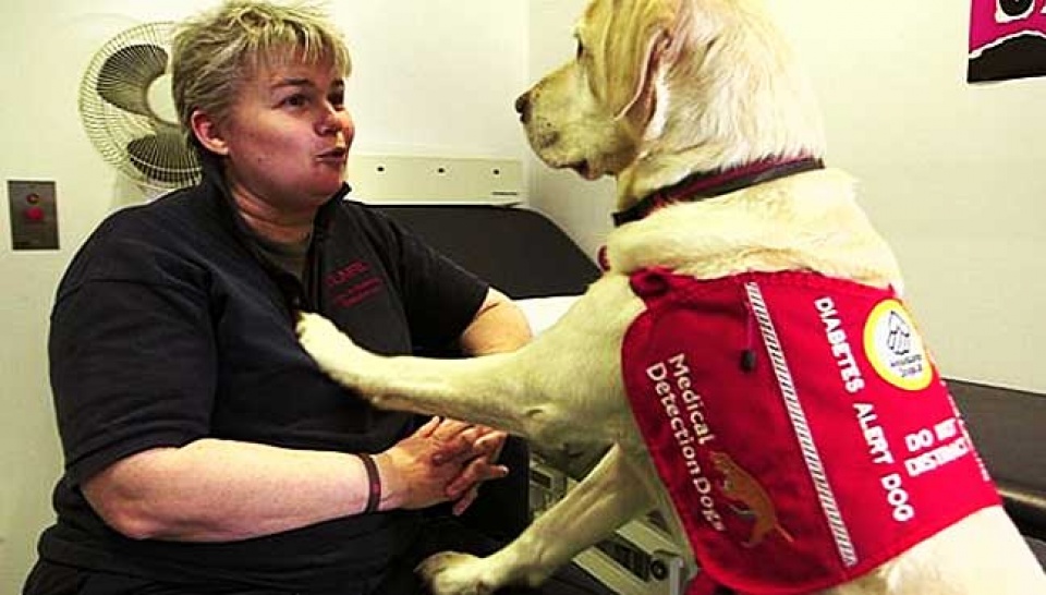 cho co kha nang phat hien benh ung thu vu