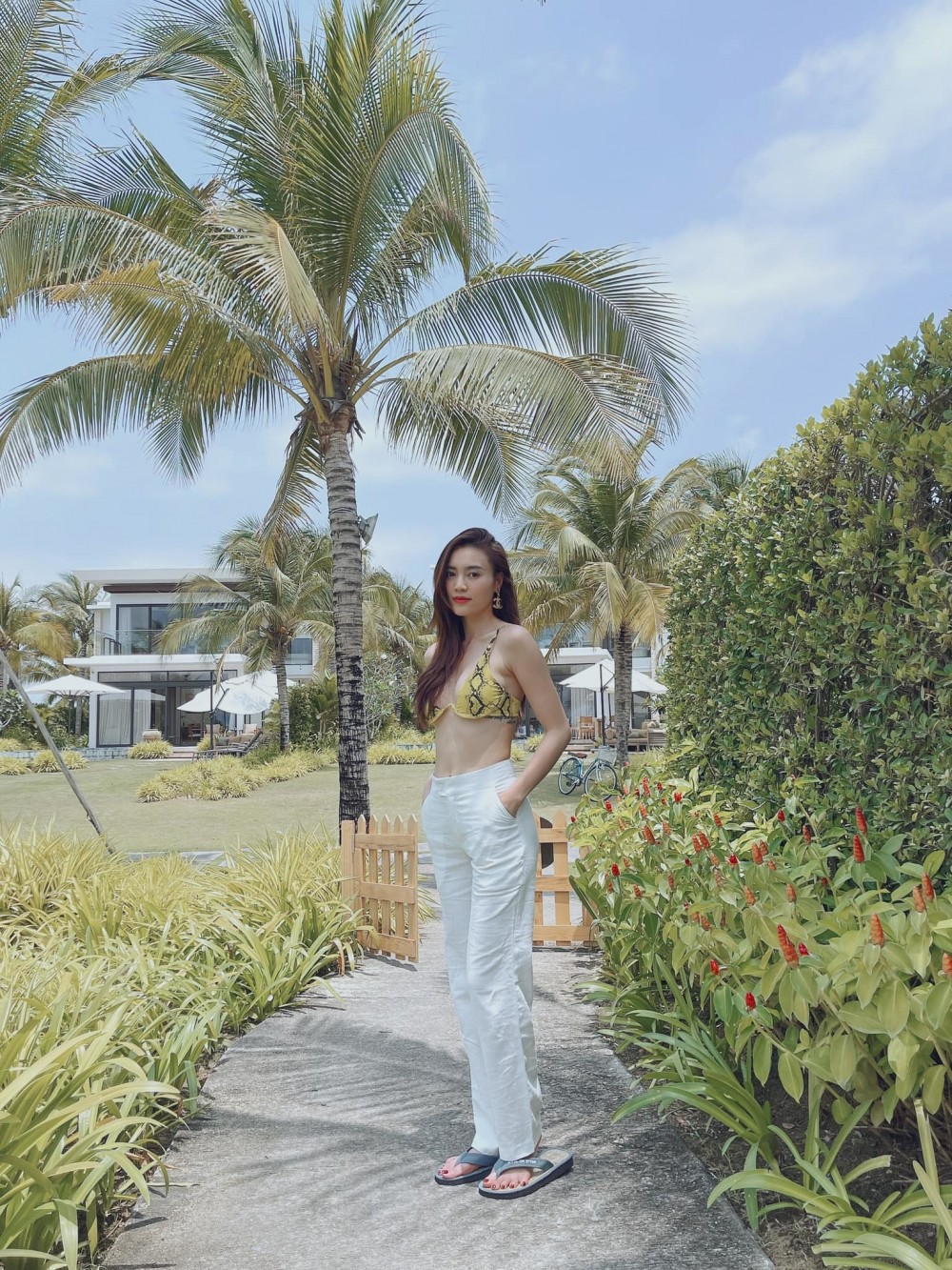 Sao Việt tuần qua. Sao Việt tuần qua.