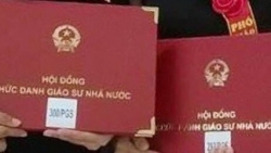 Có bao nhiêu ứng viên đạt chuẩn Giáo sư, Phó giáo sư ngành Y học năm 2021?