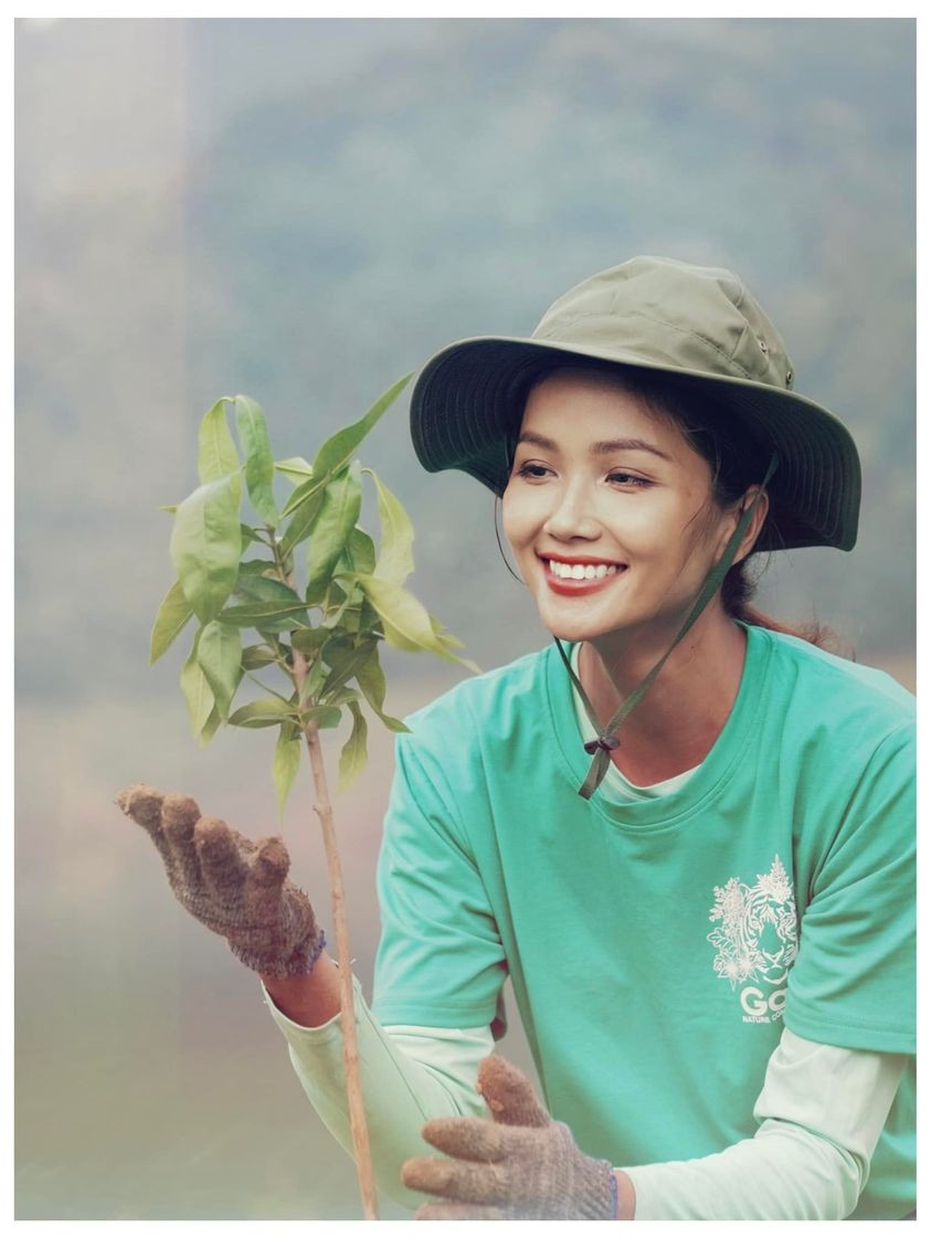 Sao Việtd Sao Việtd