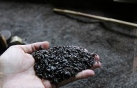 Thuốc giả, thực phẩm siêu bẩn... còn gì kinh khủng hơn?