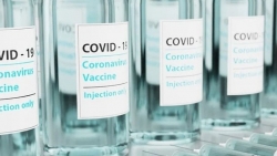 Những tình trạng y tế nào bác sĩ có thể từ chối tiêm vaccine Covid-19?