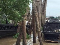 can nha 3 tang chay lon trong dem o tphcm