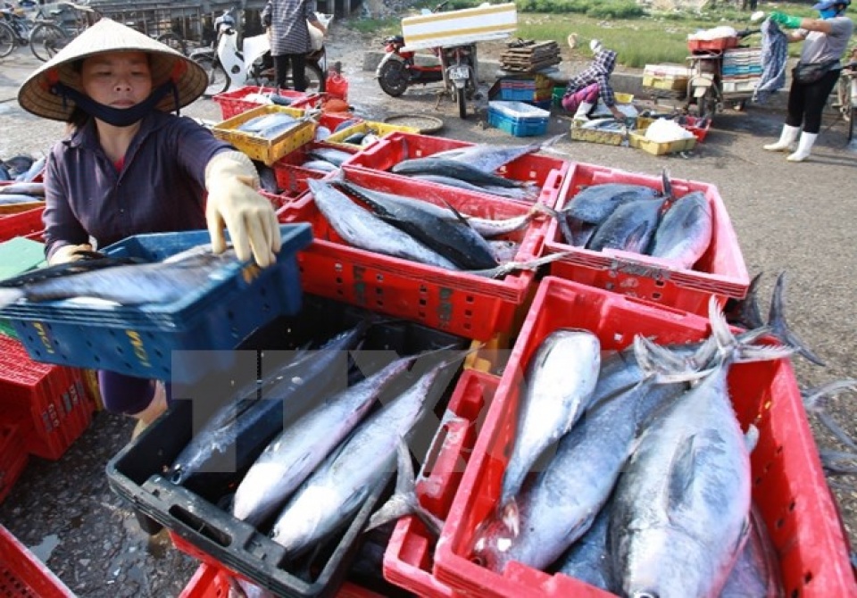 phat hien 1321040 mau hai san o mien trung nhiem phenol