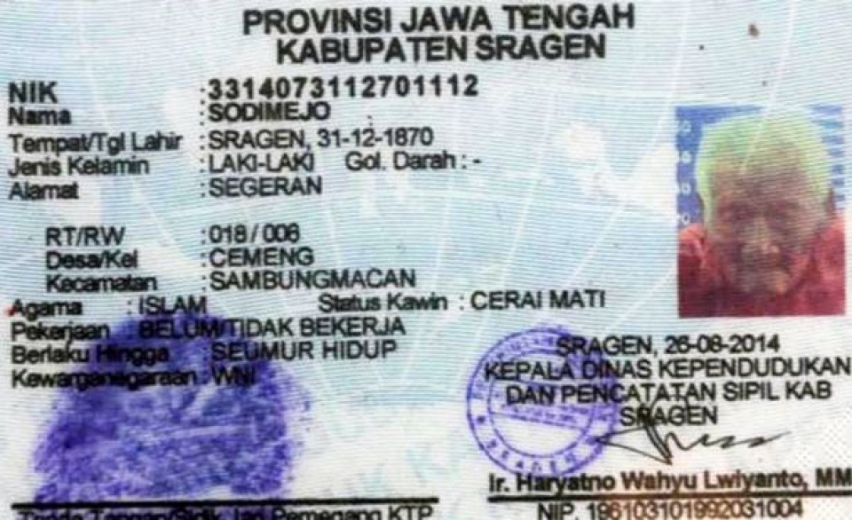 lai them mot cu ong bi than chet bo quen