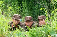 Phim Hàn: Doanh thu khổng lồ của 'Bỗng dưng trúng số' sau một tuần chiếu tại Việt Nam