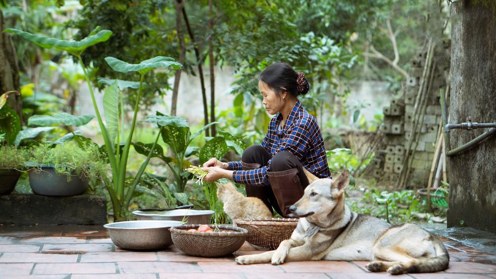 am thuc me lam kenh youtube dai dien viet nam thi youtube fanfest 2020