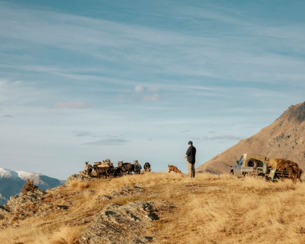 Chiêm ngưỡng Deer Park Heights, điểm quay phim Chúa tể của những chiếc nhẫn sau 11 năm đóng cửa